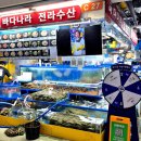 "오징어회말고 제철 갑오어징회" 가락시장 바다나라 한마리 포장 후기