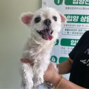 별내3로 피플워치