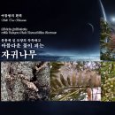 「동물ノ식물」 분홍색 실 모양의 독특하고 아름다운 꽃이 피는 자귀나무 이미지