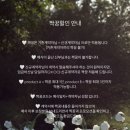 [W #2] 대전 본식 아이폰 스냅, 세러데이스냅 예약 후기 (짝꿍코드 마감)
