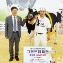 묵방목장 이미지