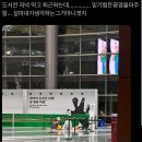 대부도서관 | 독서인 명절 26서국도 후기