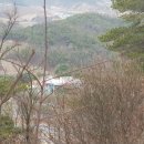 서충주약국 네이버블로그