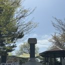 광활초등학교 | 김제 지평선 광활 햇감자 축제 후기 주말 주차와 방문 꿀팁 정리