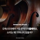 콘트라바스 | 오케스트라에서 가장 큰 악기 더블베이스, 소리는 왜 기억나지 않을까? | Behind the Sound ①