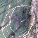 토도수산 이미지