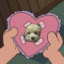 띵까띵까 이미지