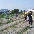 성민보육원 이미지