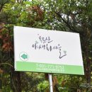 용문산야생화마을 이미지