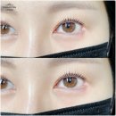 달동모바일 이미지