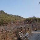 외장포경로당 티스토리
