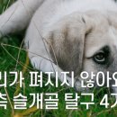 대전우리동물의료센터 이미지