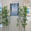퀸즈네일 - 군산시 | 전주 손톱연장 신시가지 퀸즈뷰티 네일 솔직후기