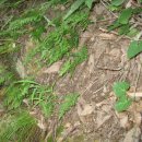 장곡자연휴양림 이미지