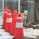 승마클럽 영풍 이미지