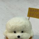 댕이랜드 이미지