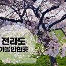 만연각 - 24909 | 만연각