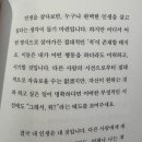 어피펄
