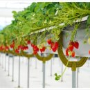 공설운동장본관(1) 이미지