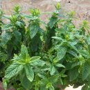 허브인허브 이미지