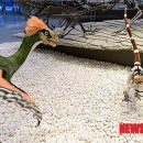 지질박물관 이미지