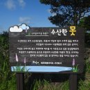 포토1004 카페 8월19일 성산읍 수산리 " 수산한 못" 전주물꼬리 풀 복원지 출사 가다 이미지