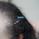 새치와 까망머리미용실