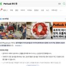 뒤뜰농장 | 워킹홀리데이】 지극히 주관적인 후기 - 뉴질랜드 체리농장 시즌잡 <Robert Family Fruit> (4편 - 체리...