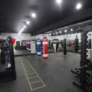 1994복싱 이미지