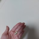 네이처약국 | 하이네이처힐링 닥터, 브레인케어 ps징코 (내돈내산 후기)