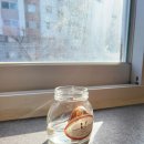 헬리오 GYM 이미지