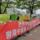 5층조은약국 이미지