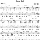 Amor Dei / 하나님 사랑 날 위하여 [박종호 11집] 이미지