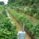 안곡농장 이미지