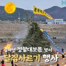 진전면896 이미지