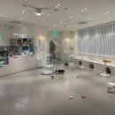 지지네 애견호텔&놀이방 이미지