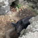 타이스토리 이미지