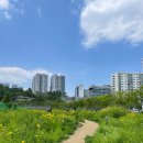 단대로5번길 이미지