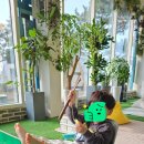 카페샌디즈