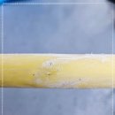 원콜 | 빠르게 해결한 원콜누수 이용 후기 누수 천안욕실누수