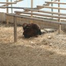 숙원농장 이미지