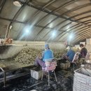 굴앞주유소 이미지