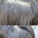 희경헤어 이미지