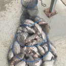 항포낚시터 이미지