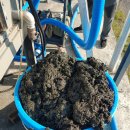 정수축사 이미지