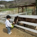 금남목장 이미지