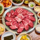 양심소 이미지