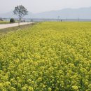 왕숙천 자전거도로2 이미지