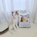 블레스펫 | 고양이 모래 추천! 가성비 벤토나이트 샌드더블레스 이코노믹