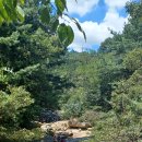 향교 앞 이미지